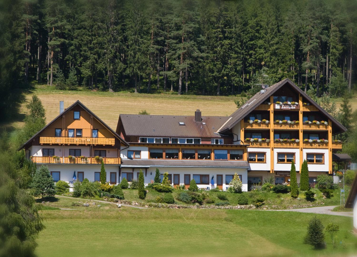 Auerhahn Bed And Breakfast - Black Forest - Waldhotel Eisenbach  Exterior foto