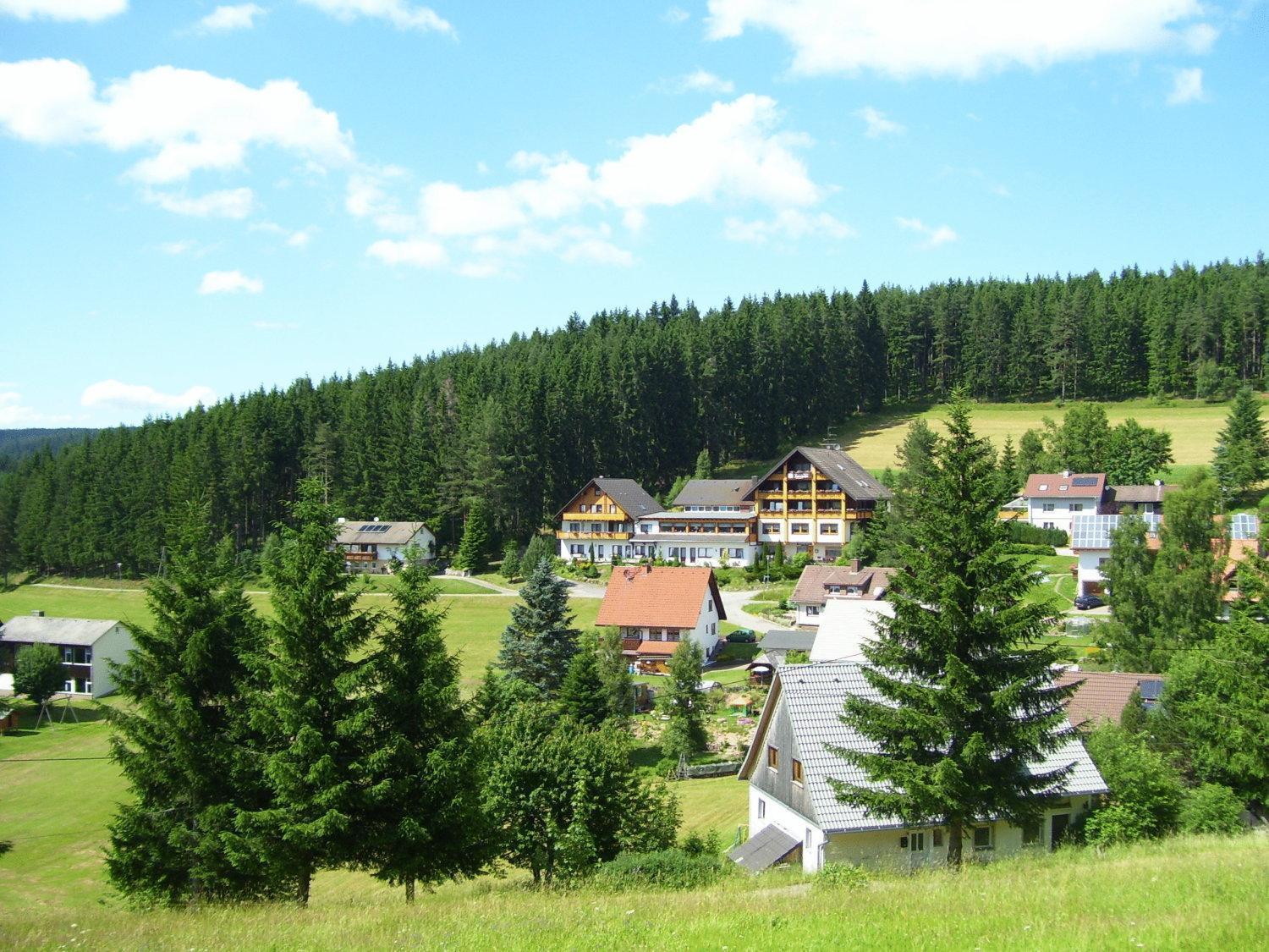 Auerhahn Bed And Breakfast - Black Forest - Waldhotel Eisenbach  Exterior foto