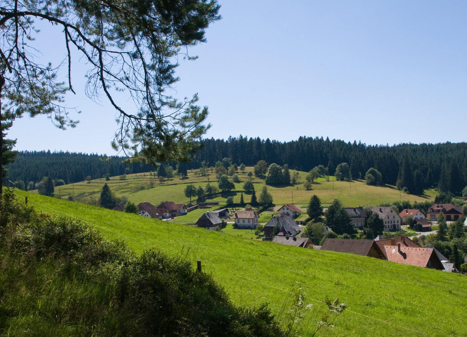 Auerhahn Bed And Breakfast - Black Forest - Waldhotel Eisenbach  Exterior foto