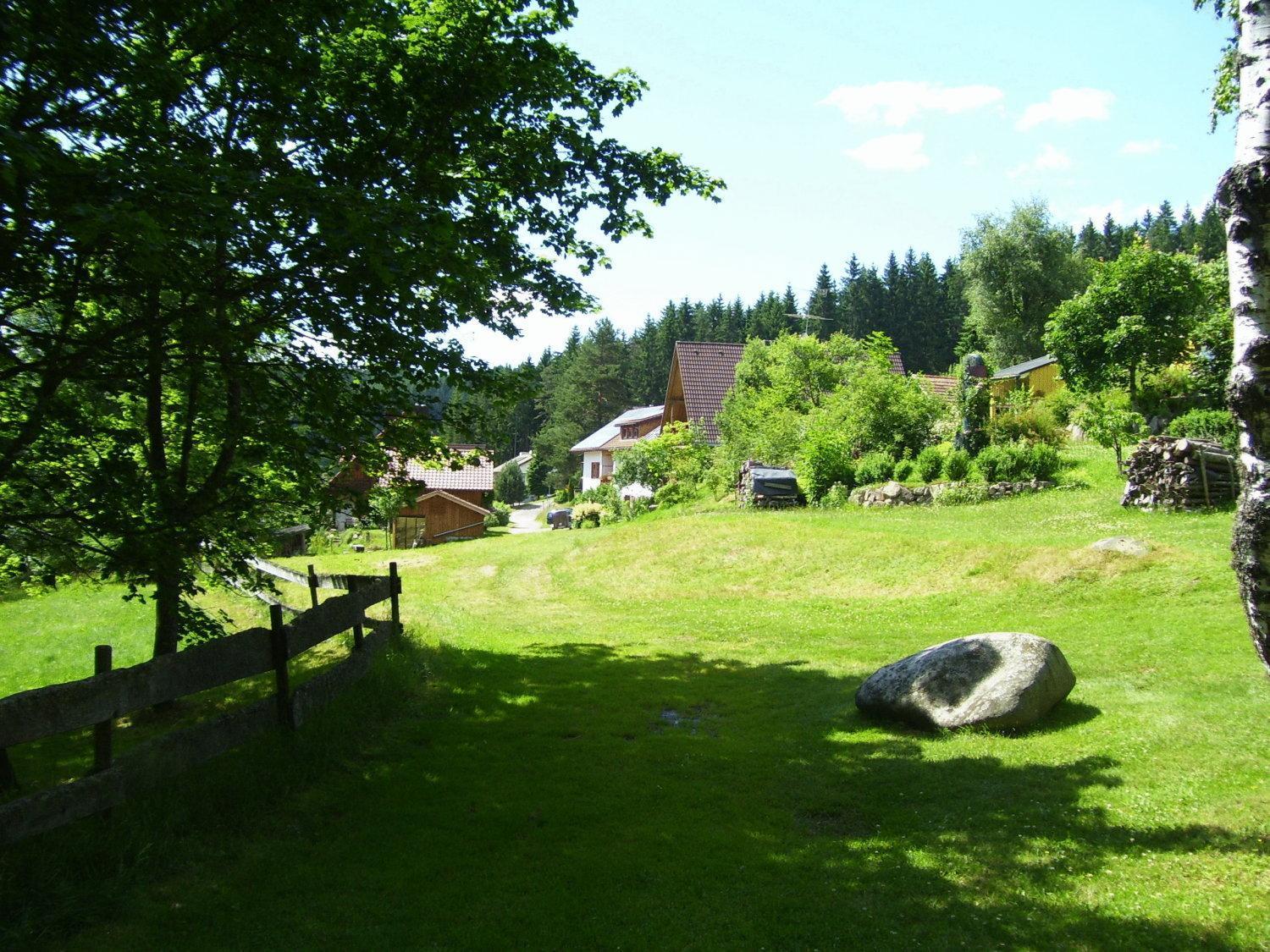 Auerhahn Bed And Breakfast - Black Forest - Waldhotel Eisenbach  Exterior foto