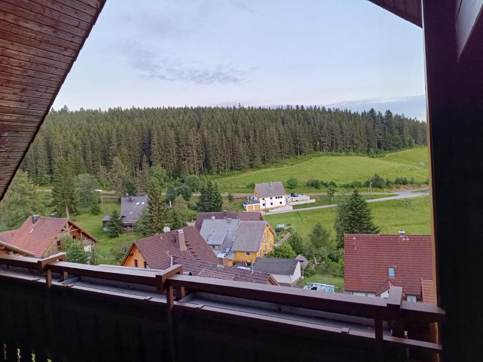 Auerhahn Bed And Breakfast - Black Forest - Waldhotel Eisenbach  Exterior foto