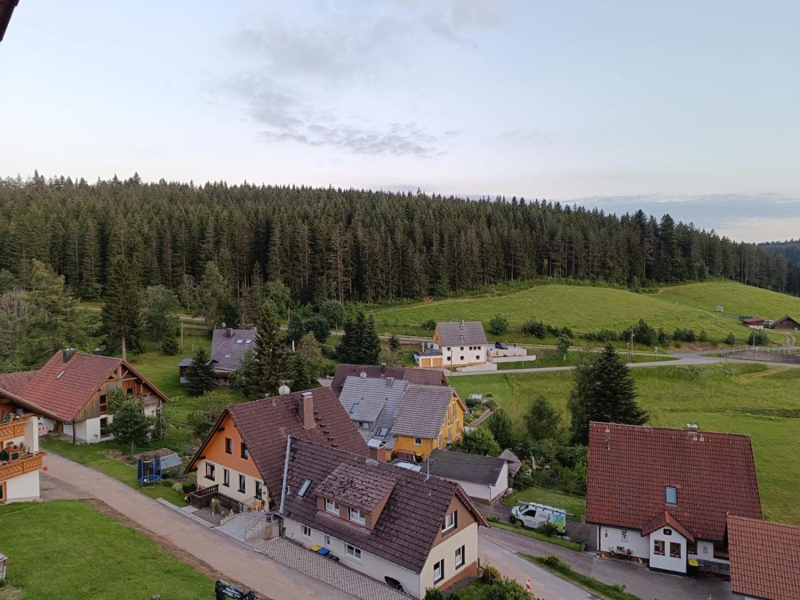 Auerhahn Bed And Breakfast - Black Forest - Waldhotel Eisenbach  Exterior foto