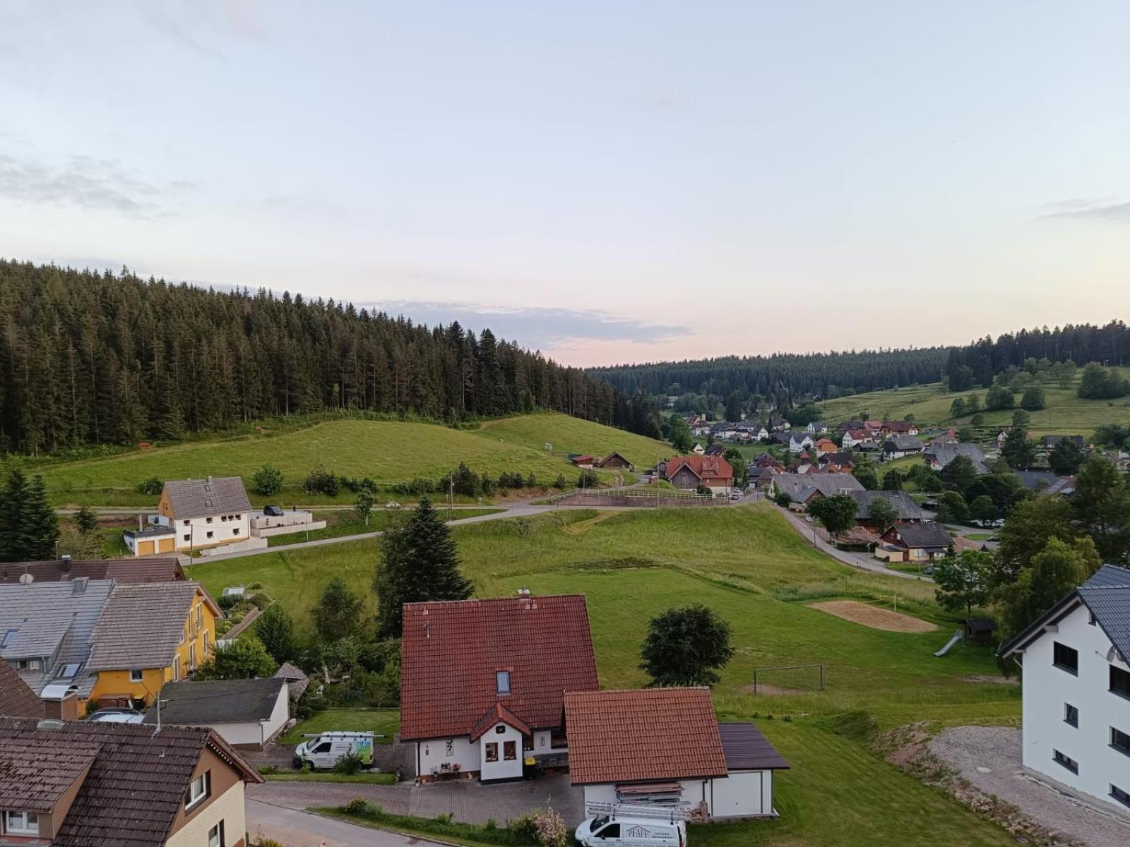 Auerhahn Bed And Breakfast - Black Forest - Waldhotel Eisenbach  Exterior foto