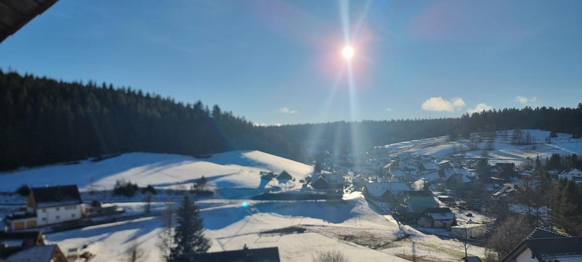 Auerhahn Bed And Breakfast - Black Forest - Waldhotel Eisenbach  Exterior foto