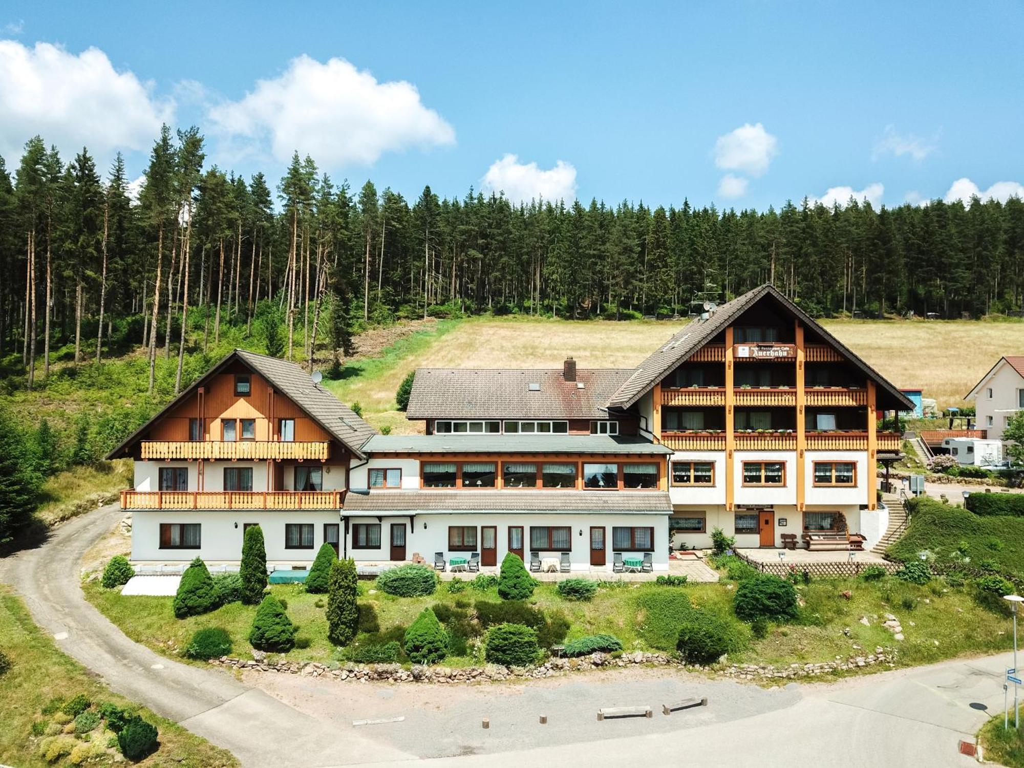 Auerhahn Bed And Breakfast - Black Forest - Waldhotel Eisenbach  Exterior foto