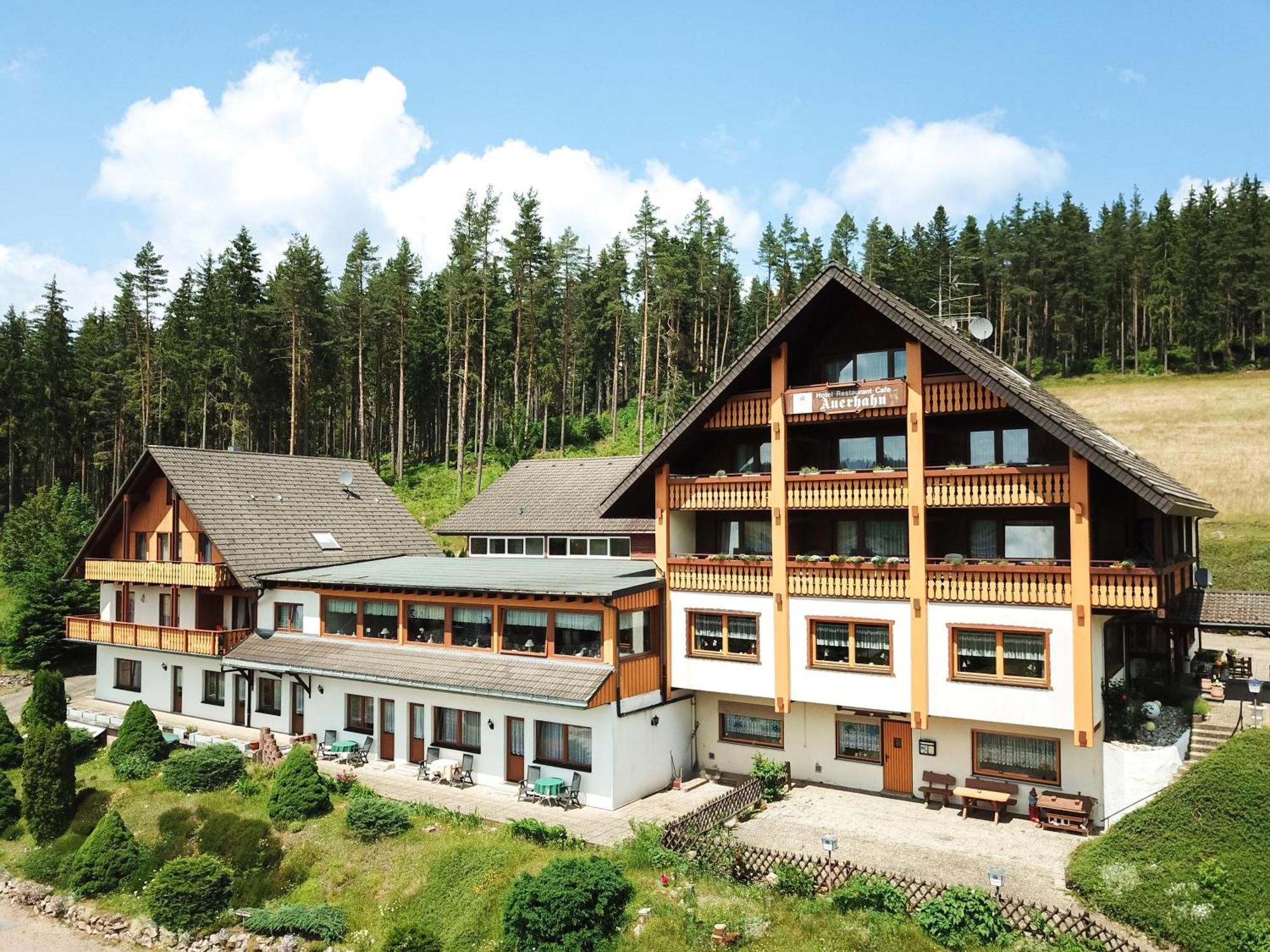 Auerhahn Bed And Breakfast - Black Forest - Waldhotel Eisenbach  Exterior foto