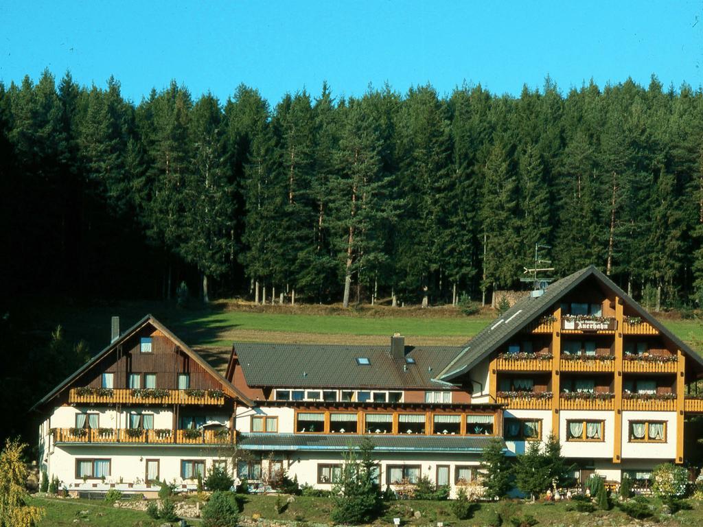 Auerhahn Bed And Breakfast - Black Forest - Waldhotel Eisenbach  Exterior foto