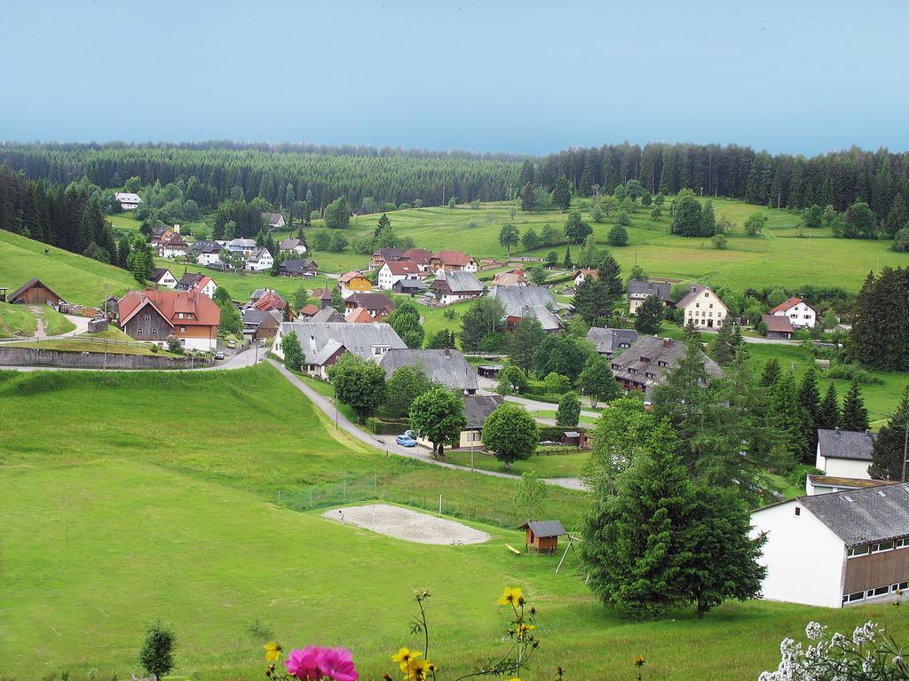 Auerhahn Bed And Breakfast - Black Forest - Waldhotel Eisenbach  Exterior foto